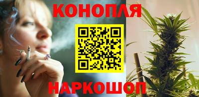 стафф Можга