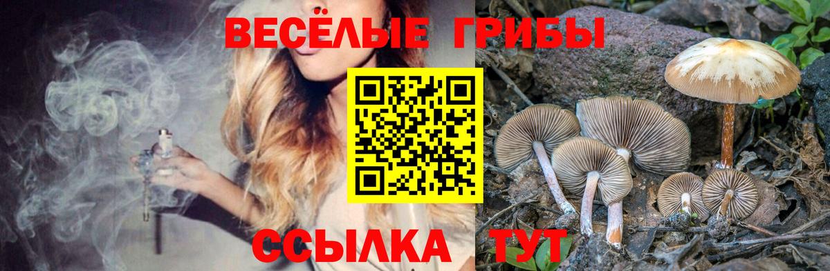 Топки  Псилоцибиновые грибы Psilocybe  Псилоцибиновые грибы Magic Shrooms  Вход с VPN 